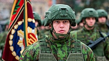 Литва заявила о готовности отправить солдат на Украину