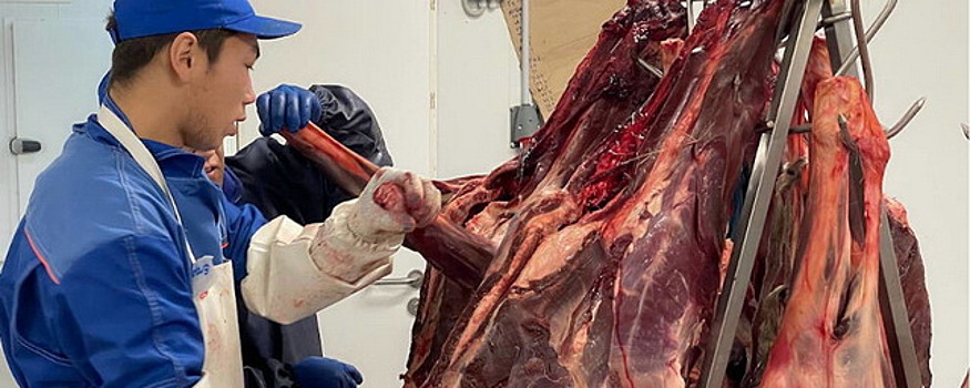 На предприятии «Паюта» в ЯНАО зарегистрирован рекордный вес туши оленя – 94 кг