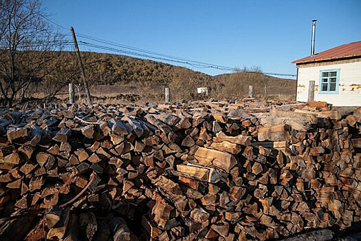 Жители частного сектора Находки получают дрова с доставкой «до двери»