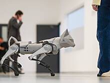 Отборочный этап Международного чемпионата по битве роботов состоится 1 ноября