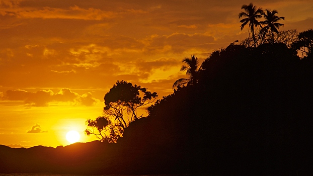 Зачем в Гоа прыгают в колодцы: традиции загадочного праздника