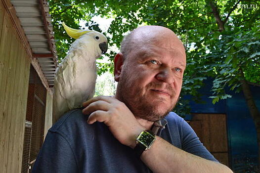 Руководитель «Орнитария» рассказал о хищных птицах из московского парка