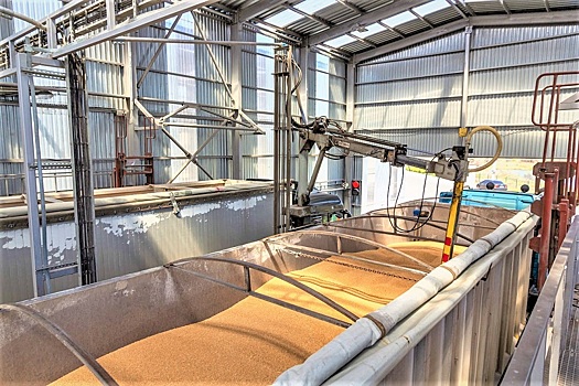 Россия в середине февраля снизила выпуск бензина на 2,7%