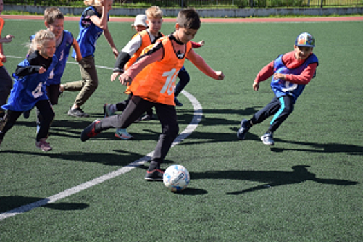 Товарищеский матч среди детей по мини-футболу, в рамках акции «Каникулы с Общественным советом»
