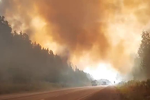 Обстановка на перекрытой из-за лесных пожаров федеральной трассе попала на видео