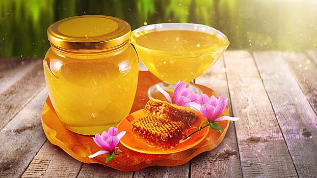 Нектар богов: пчеловод Аксенов рассказал о полезных свойствах меда