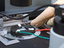 Магнитные наночастицы и поля уничтожили клетки лейкоза, но не навредили здоровым