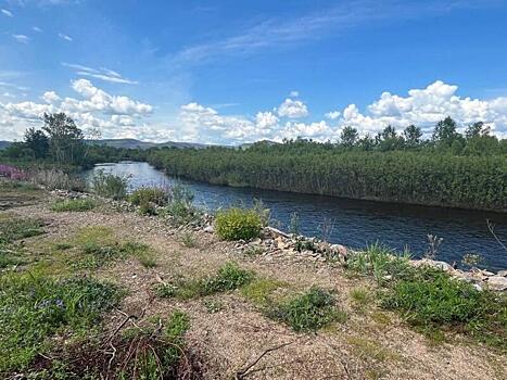 Временные насыпи строят в ДНТ «Шишкино-Остров»