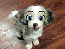 Snapchat добавил новый фильтр Cartoon Face, который делает собак похожими на персонажей Диснея