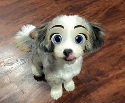 Snapchat добавил новый фильтр Cartoon Face, который делает собак похожими на персонажей Диснея