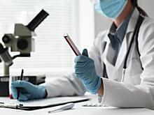 Не был пьян: остановленный инспекторами ГИБДД актер Петрашевич прошел медосвидетельствование