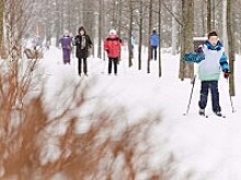 В парках Москвы появятся нетающие лыжные трассы и всепогодные тюбинговые горки