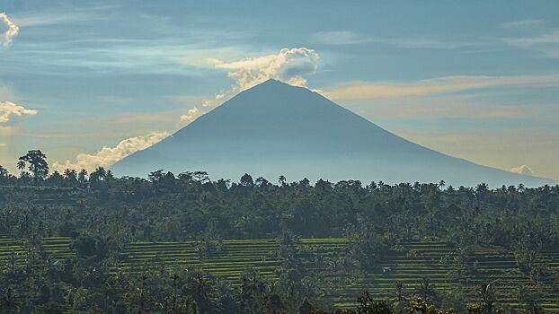 Туристам на Бали запретили лазить по священным деревьям и пользоваться пластиковыми пакетами