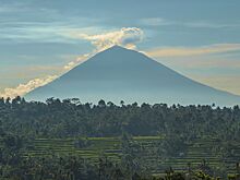 Туристам на Бали запретили лазить по священным деревьям и пользоваться пластиковыми пакетами