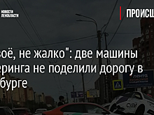 "Не своё, не жалко": две машины каршеринга не поделили дорогу в Петербурге