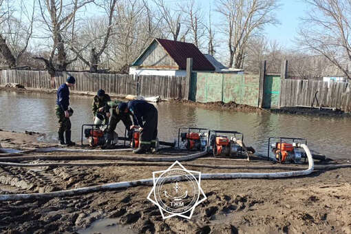 Минсельхоз Казахстана: в зоне затопления оказались захоронения сибирской язвы