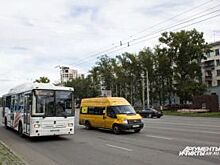 Выход есть. Что ждёт муниципальные автобусы Челябинска