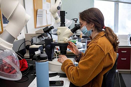 Раскрыта тайна страшнейшей эпидемии в истории человечества