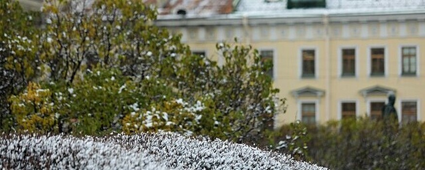 Синоптик Куткевич: Снег может выпасть в Санкт-Петербурге в первую неделю ноября
