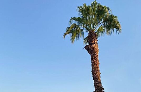 Продажи недвижимости россиянам на Бали выросли на 64% с начала года