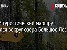 Новый туристический маршрут открылся вокруг озера Большое Лесное