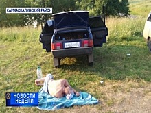 Отдых с риском для жизни. Итоги недели