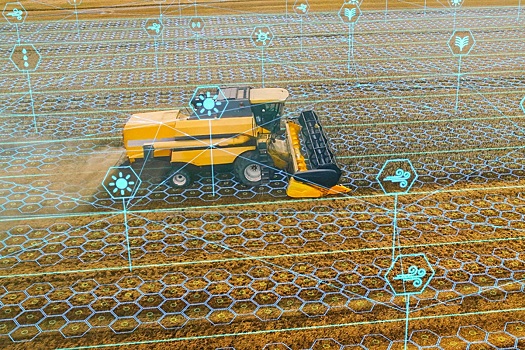 Агробизнес в эпоху цифровизации: как технологии меняют правила игры