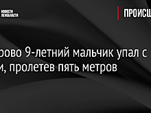 В Кудрово 9-летний мальчик упал с крыши, пролетев пять метров