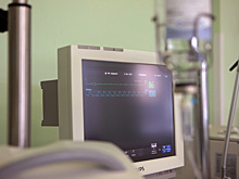 Австралийским врачам не удалось спасти травмированного после нападения акулы мальчика