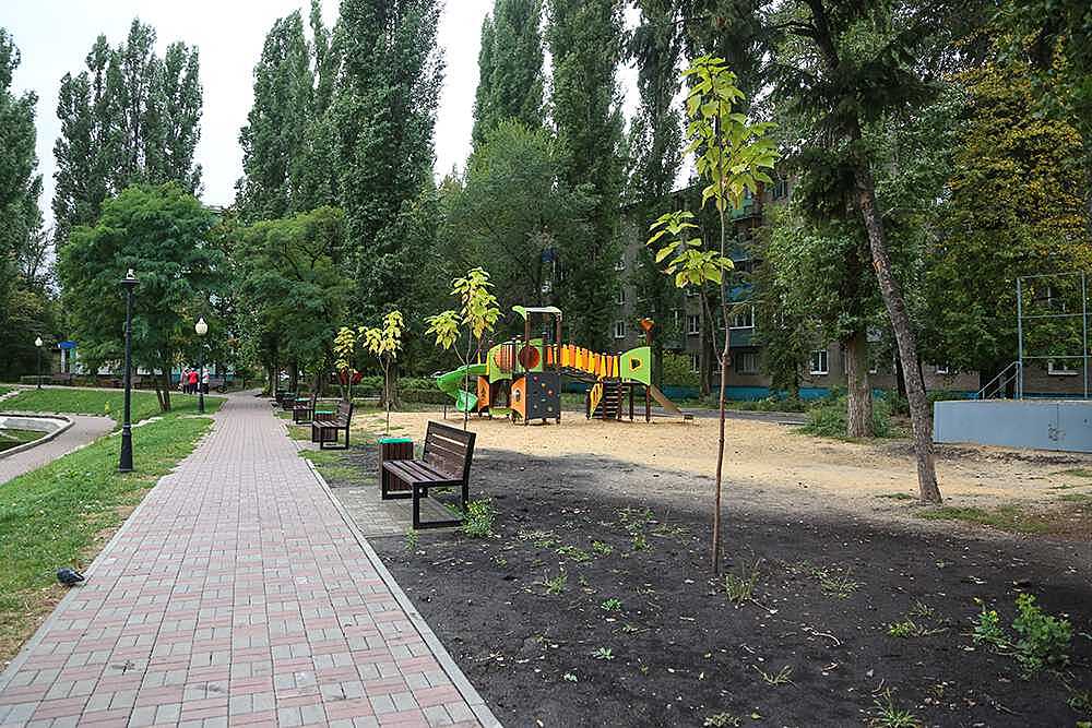 Этой осенью в Воронеже посадят 697 деревьев