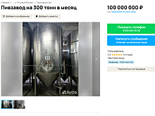 В Челябинской области продают пивзавод за 100 миллионов рублей