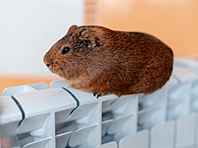 Авария на сетях оставила без тепла 40 МКД, две школы и три поликлиники в Новороссийске