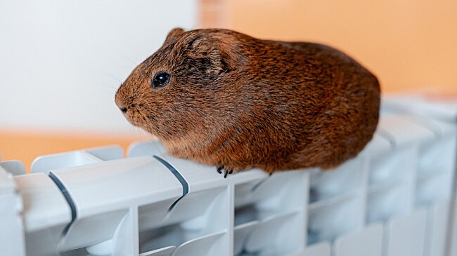 Авария на сетях оставила без тепла 40 МКД, две школы и три поликлиники в Новороссийске