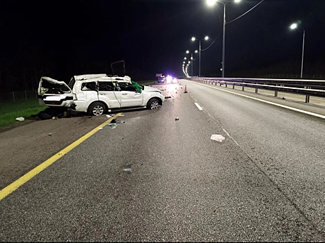 На трассе под Воронежем погибла в ДТП 60-летняя водитель Mitsubishi Pajero