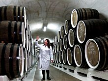 Виноделы Крыма попросили принять отраслевой закон и определиться с термином