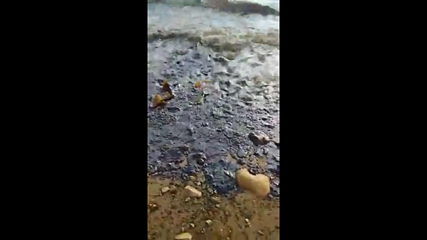 Разлив нефтепродуктов произошел в магаданской бухте. Видео