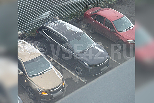 Первый снег покрыл улицы Кемерова после бабьего лета