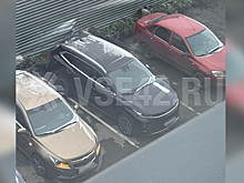 Первый снег покрыл улицы Кемерова после бабьего лета