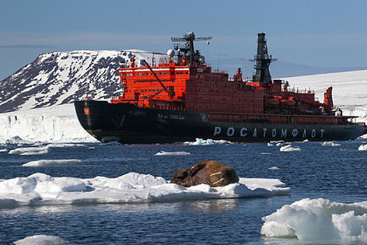 Российские ученые доказали полезность дрейфующих льдин