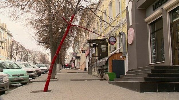 На улице Московской пензенцев удивило и порадовало красное дерево