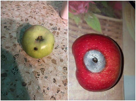 Учащихся из Питкярантского района накормили в школе гнилыми яблоками по завышенной цене