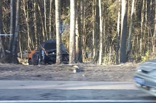 На Приморском шоссе машина въехала в дерево: водитель скончался