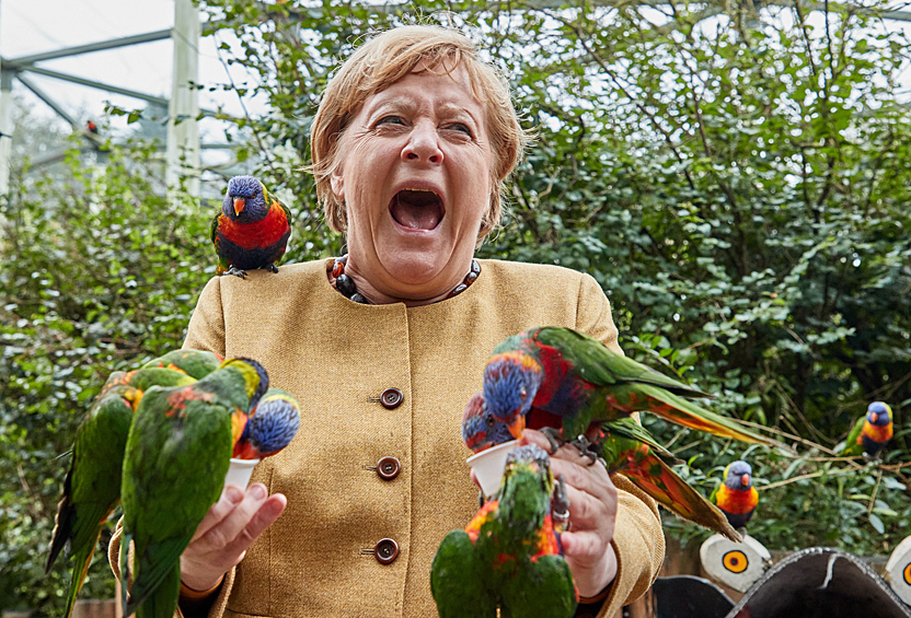 Федеральный канцлер Ангела Меркель покормила попугаев в парке Марлоу, 2021 год