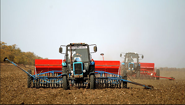 Росстат: посевная компания идет хуже, чем в 2016 г.