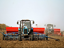 Росстат: посевная компания идет хуже, чем в 2016 г.