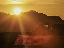 Ученые предупредили о риске «черных лебедей» на Солнце