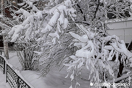 В Гидрометцентре текущую зиму назвали самой снежной за несколько десятилетий