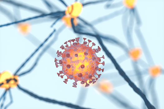 Раскрыто влияние коронавируса на мозг