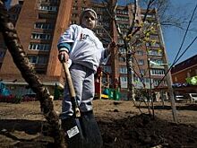 Слово - воробей? Борьба за сквер в краевом центре не утихает