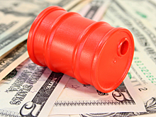 Минэкономразвития опровергло инициативу о запрете экспорта нефти